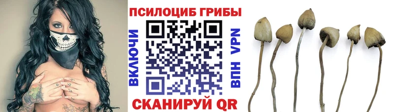 купить наркотики цена  Белово  Галлюциногенные грибы Magic Shrooms 